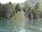 Norris Lake&nbsp;Fishing